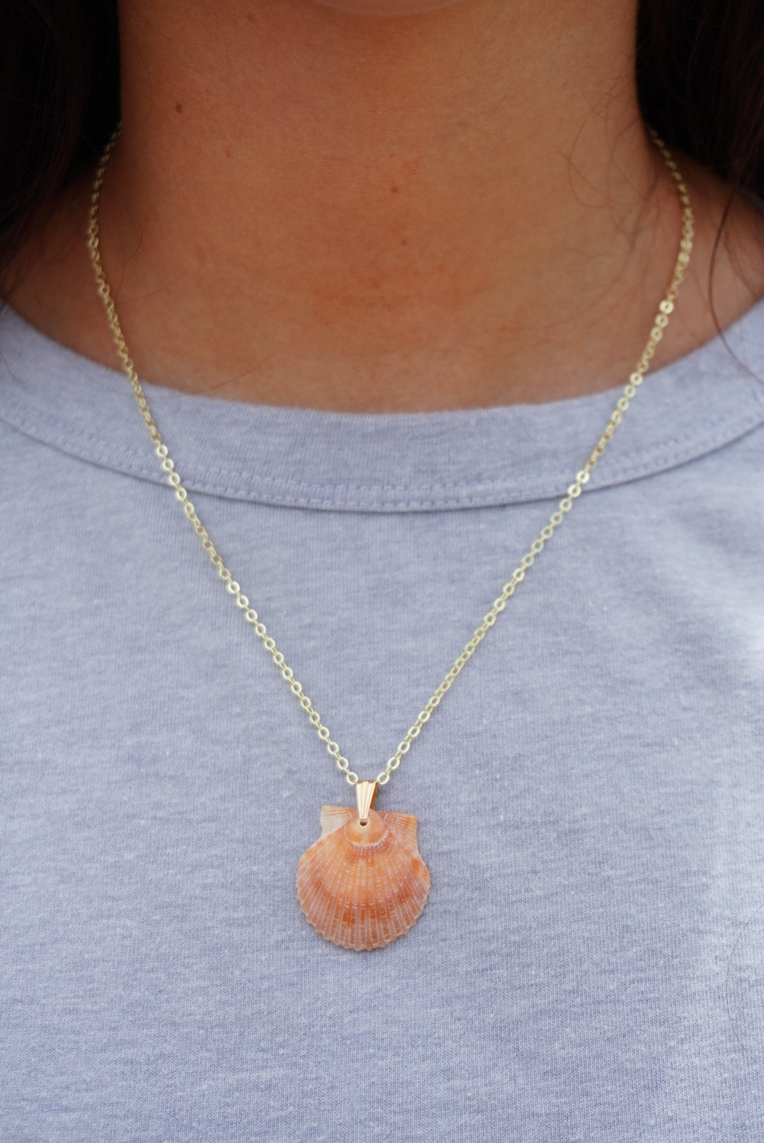 Seashell Necklace