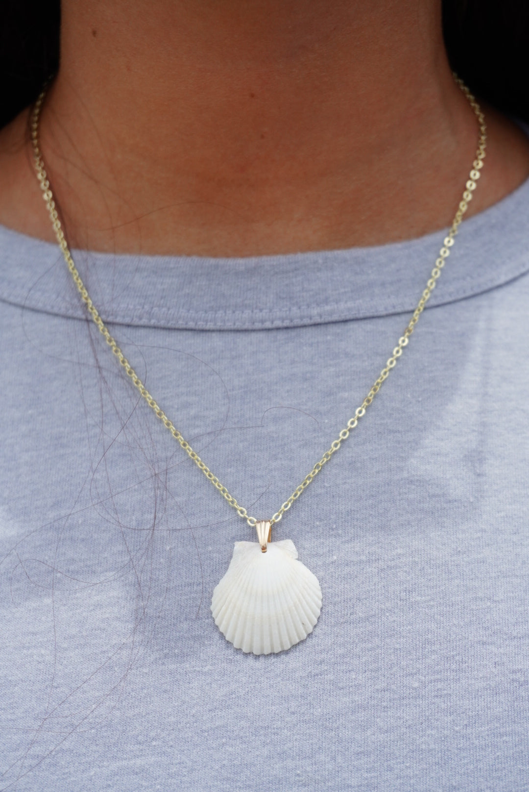 Seashell Necklace
