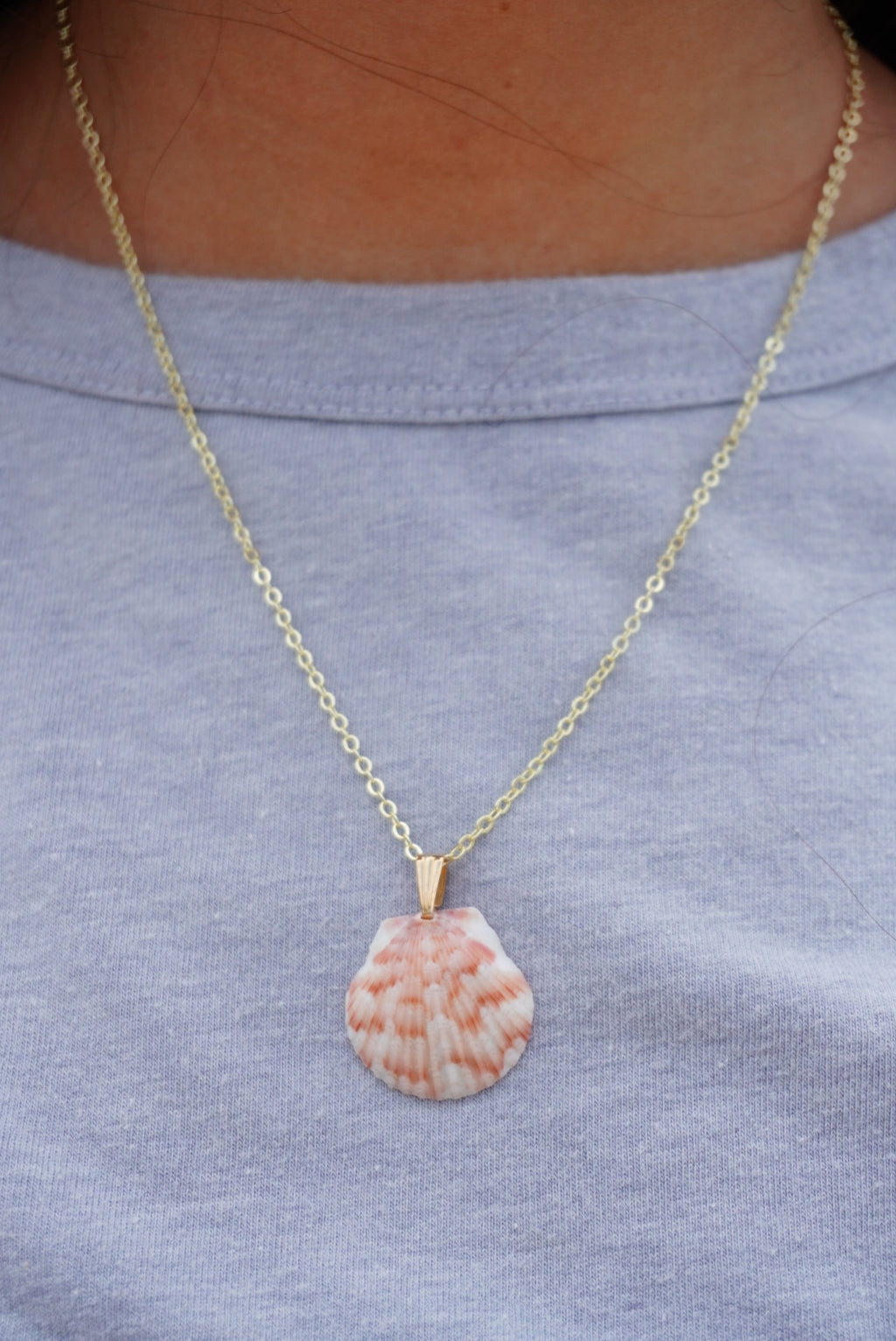 Seashell Necklace