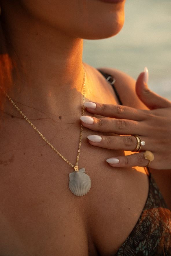 Seashell Necklace