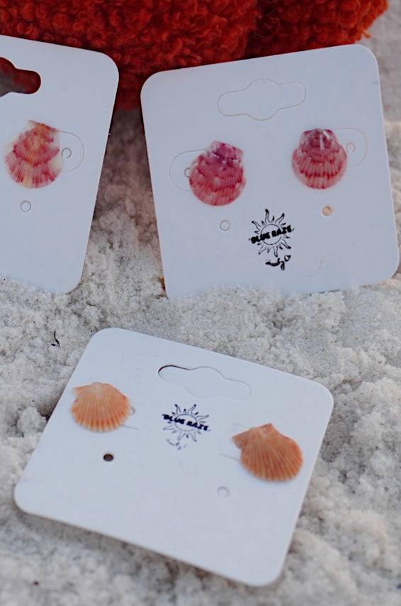 Seashell Stud Earrings